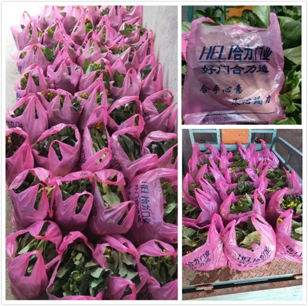 合力門業：疫情之下，合力經銷商有態度，有溫暖，有故事