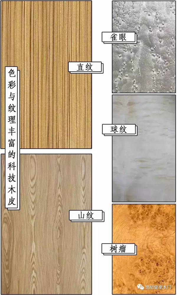 世紀皇室木門：2020科技木皮流行大賞