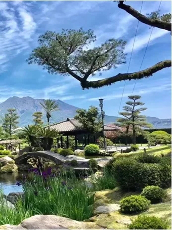 群喜木門MSC輝煌號豪華游輪海外旅游即將起航