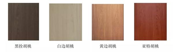 新標(biāo)木門(mén)：回顧2019，展望2020