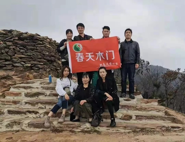 春天木門2019年12月全國銷售十強