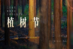 精武之帝木門：與綠色同行，與環保同行