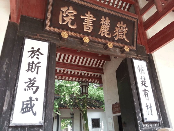 TATA木門：高山萬仞，我為一石
