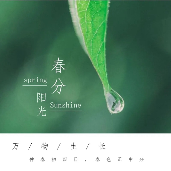尚品正德木門：春分時節 莫負好春光