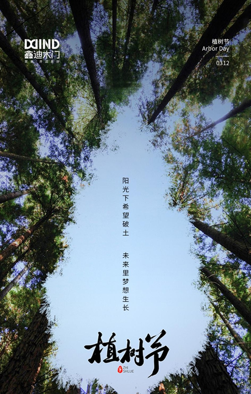 鑫迪木門：陽光下希望破土，未來里夢想成長