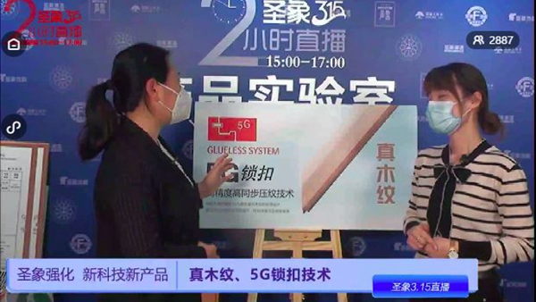 圣象315為消費(fèi)者構(gòu)筑“足不出戶”的品質(zhì)生活