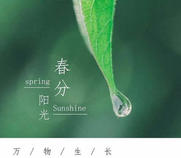 希格瑪木門：春色如許，不負韶光