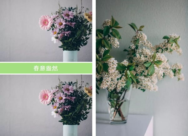 希格瑪木門：春色如許，不負韶光