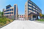 科派木門|自成一派者絕非等閑之輩，最少是個上市企業