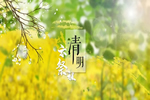 精武之帝木門：清明踏春，文明緬懷（內(nèi)附放假通知）