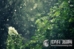 梅雨季節到來，您家木門防潮工作準備好了么？