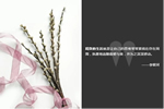 豪邁木門：你與精致生活的距離，還差一個TA