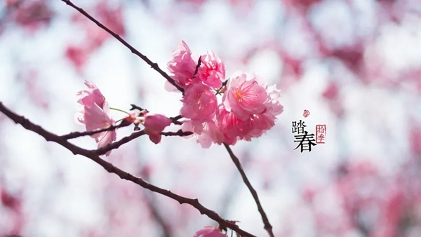 雅帝樂門業線上直播工廠直購會，億元紅包等你拿！