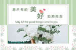 鑫迪木門：愿所有美好如期而至