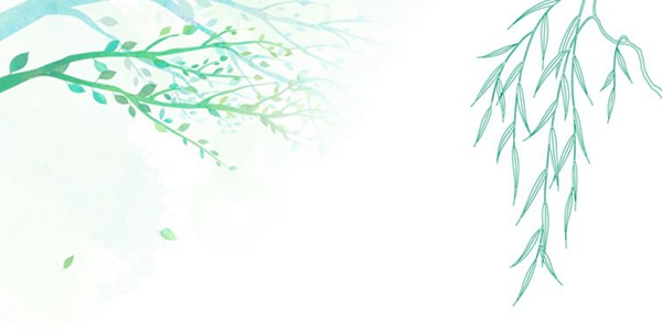林邦整木定制：不負春光，不負夢想