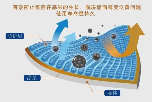 大寶漆：創新無機科技 帶來更全面的防護