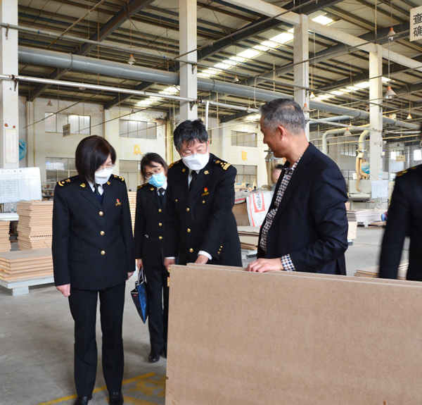 金豐定制家居│吳江海關關長馬紅蘭一行蒞臨金豐調研指導