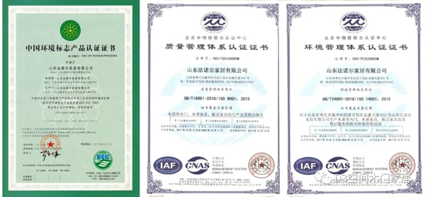 D3空間木門·家居：讓環保生活從家開始 開啟自然生活方式