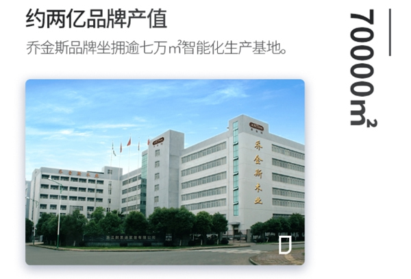 喬金斯【私享家】|2億市值，飛入尋常百姓家