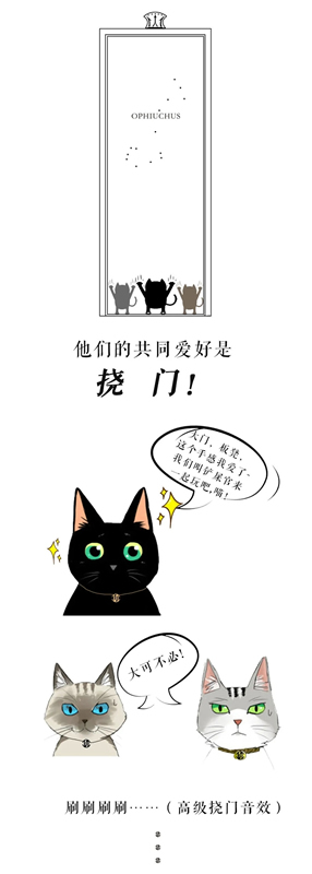思諾爾家木門：帶著行業 去做正確的事情
