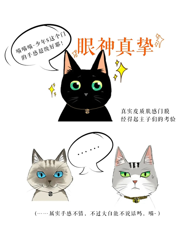 思諾爾家木門：帶著行業 去做正確的事情