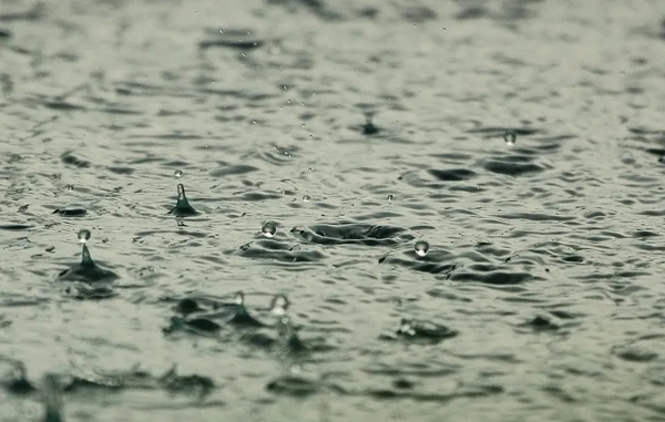 兔寶寶木門：梅雨季節(jié)，木門的養(yǎng)護性預防方法