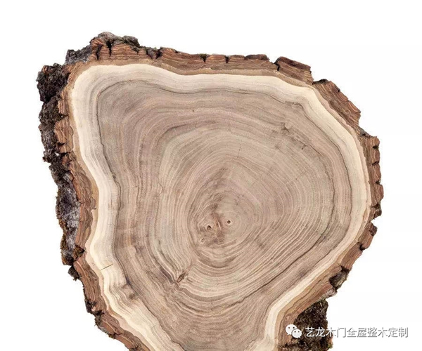 藝龍木門·整木定制：這些木材你都了解嗎？