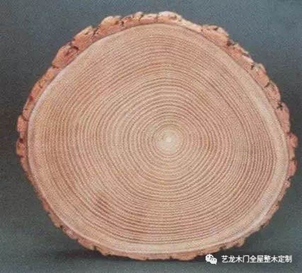 藝龍木門·整木定制：這些木材你都了解嗎？