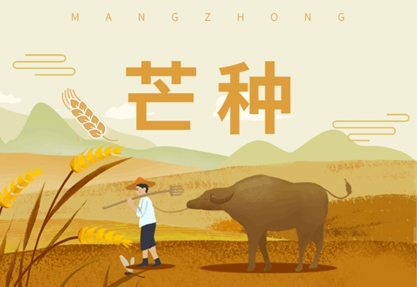 鑫迪木門：為愛奔芒，辛勞耕種！