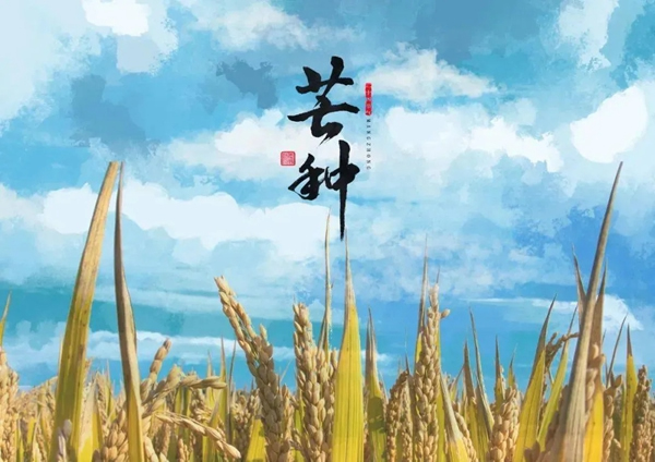 鑫迪木門：為愛奔芒，辛勞耕種！