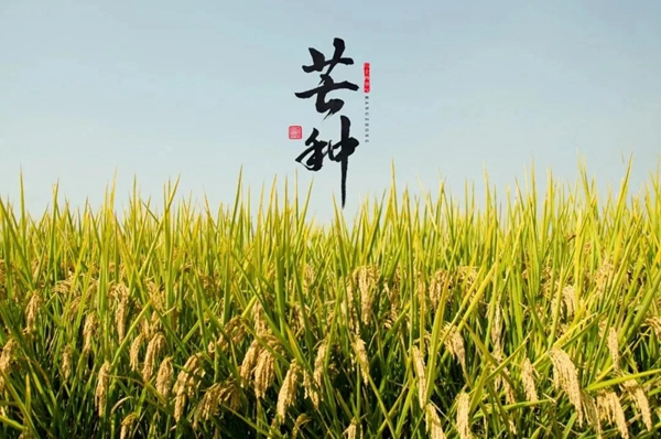 鑫迪木門：為愛奔芒，辛勞耕種！