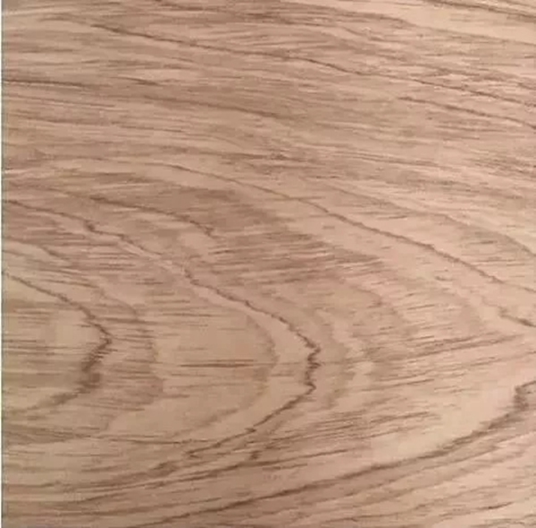 致盛木門：少木皮的分類小知識