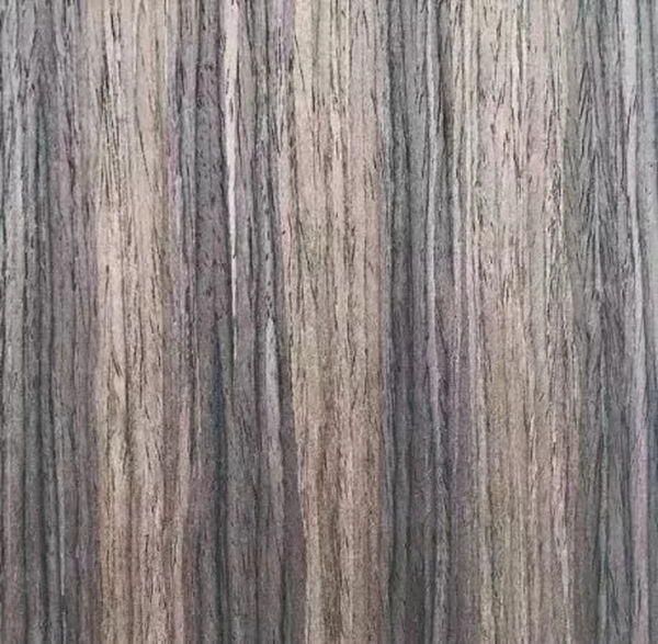 致盛木門：少木皮的分類小知識