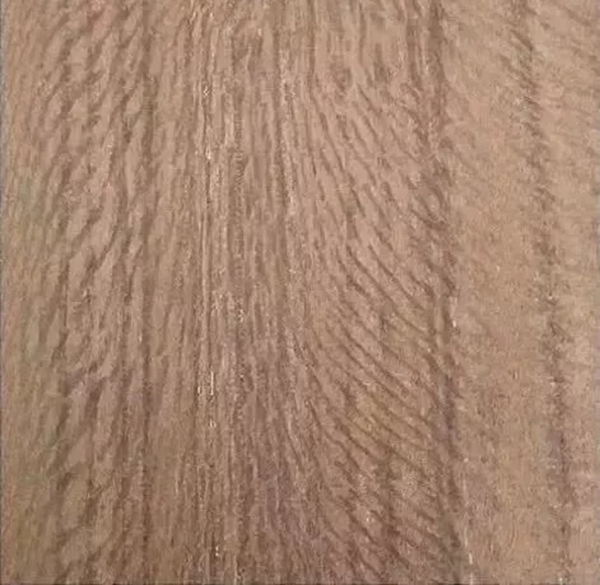 致盛木門：少木皮的分類小知識