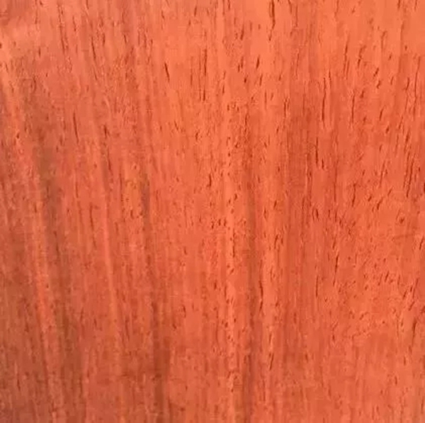 致盛木門：少木皮的分類小知識