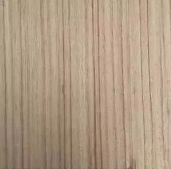 致盛木門：少木皮的分類小知識