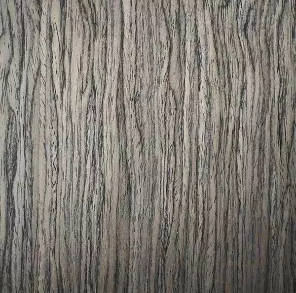 致盛木門：少木皮的分類小知識