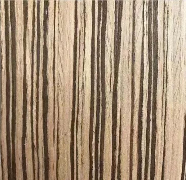 致盛木門：少木皮的分類小知識