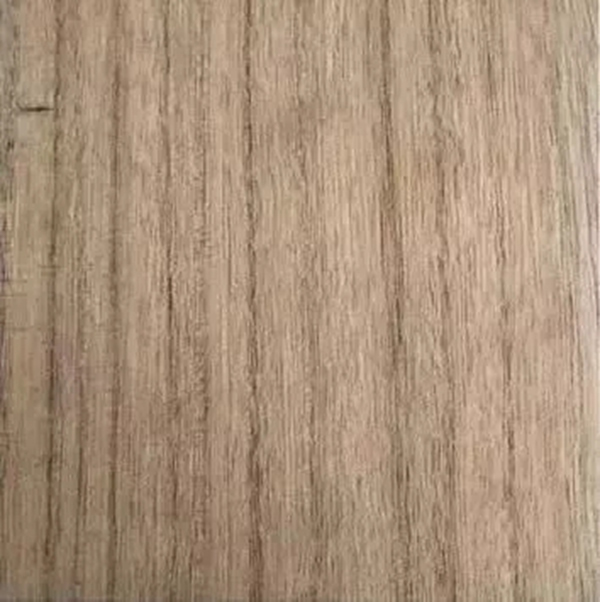 致盛木門：少木皮的分類小知識