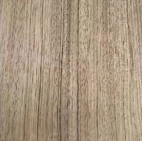 致盛木門：少木皮的分類小知識