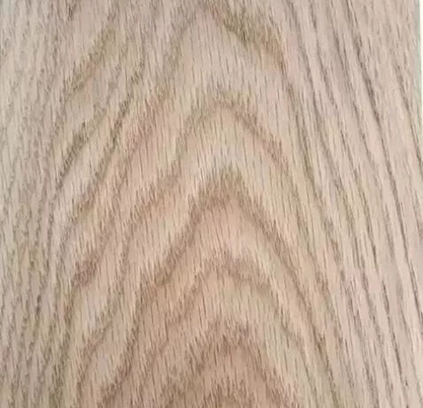 致盛木門：少木皮的分類小知識