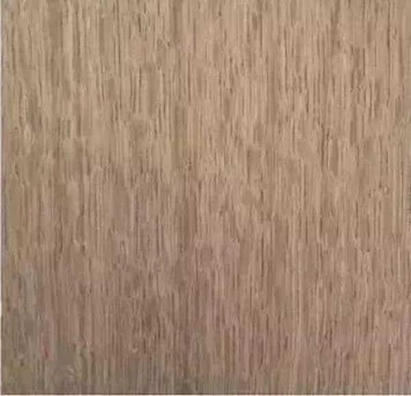 致盛木門：少木皮的分類小知識