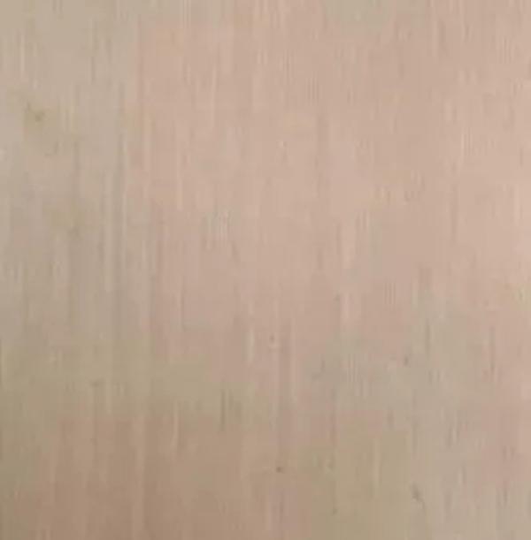 致盛木門：少木皮的分類小知識