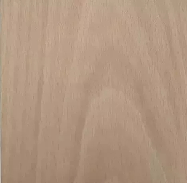 致盛木門：少木皮的分類小知識