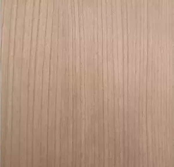 致盛木門：少木皮的分類小知識