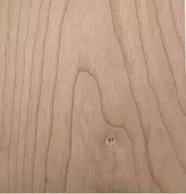 致盛木門：少木皮的分類小知識
