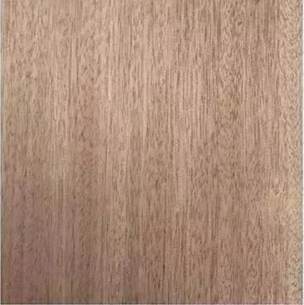 致盛木門：少木皮的分類小知識