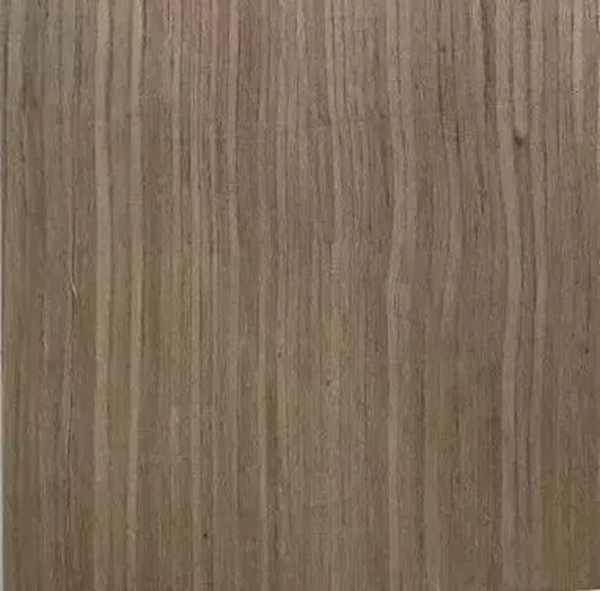 致盛木門：少木皮的分類小知識