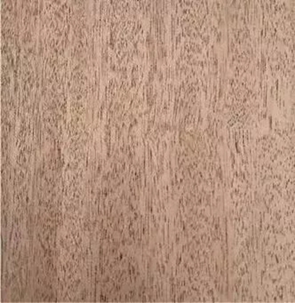 致盛木門：少木皮的分類小知識