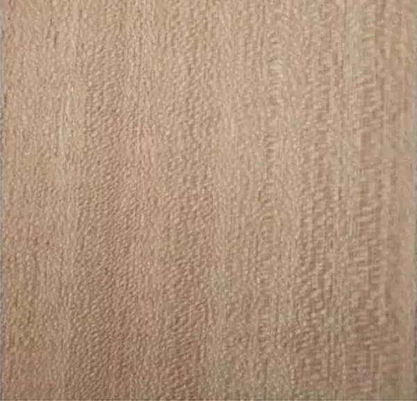 致盛木門：少木皮的分類小知識